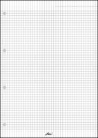 VLOŽNI LISTI 13,141 NIZKI KARO A4 1/50