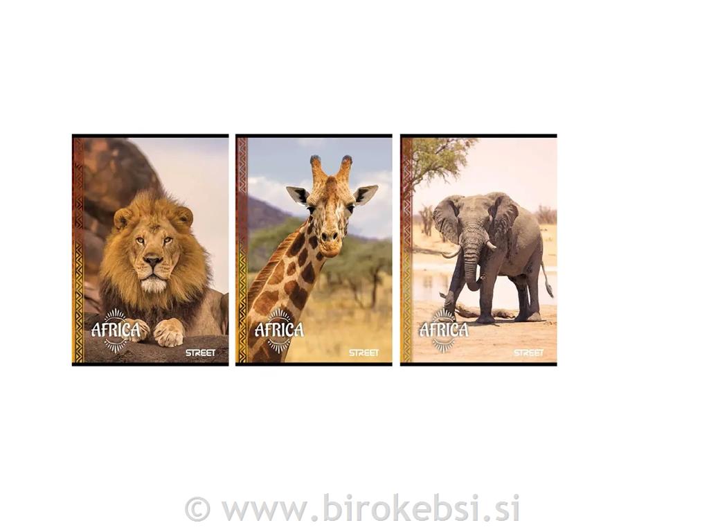 ZVEZEK A4 STREET AFRIKA 1CM KARO 80L