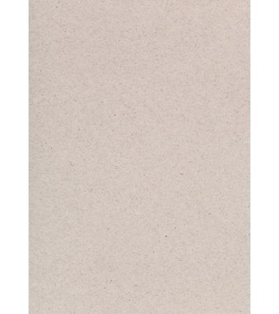 PAPIR-KARTON A4 RECIKLIRAN 160g
